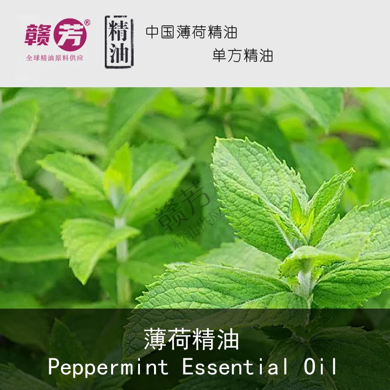 Natural Pure Refreshing Mint Essential Oil